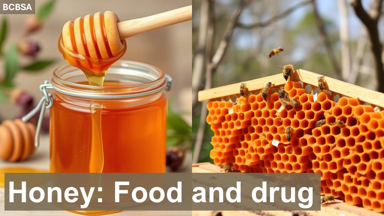 Honey: Food and drug