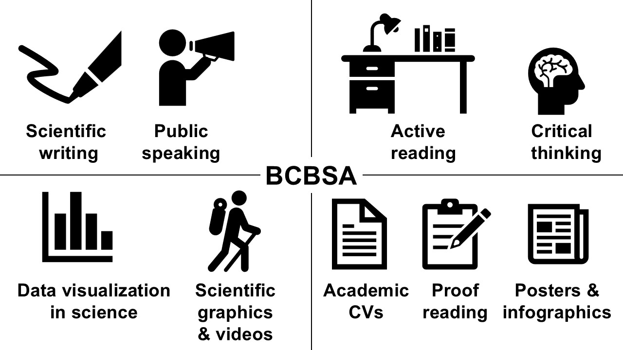 Overview of our services
